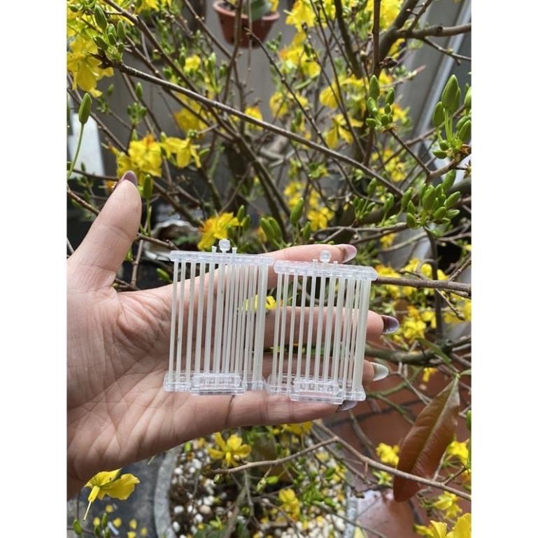 Rọ dế cho chim chào mào,rọ dế chim khuyên Bigolive phụ kiện chim cảnh