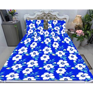 Drap (ga giường) thun lạnh Hàn Quốc cao cấp Bộ 4 món