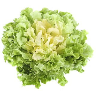 500h Hạt Giống Xà Lách Escarole Broadleaf