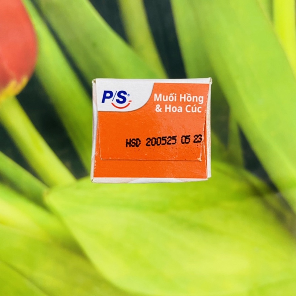 Combo 10 tuýp kem đánh răng PS muối hồng & hoa cúc- Hàng tặng 30 g