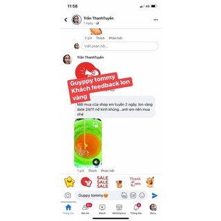 Artemia ấp nở lon vàng