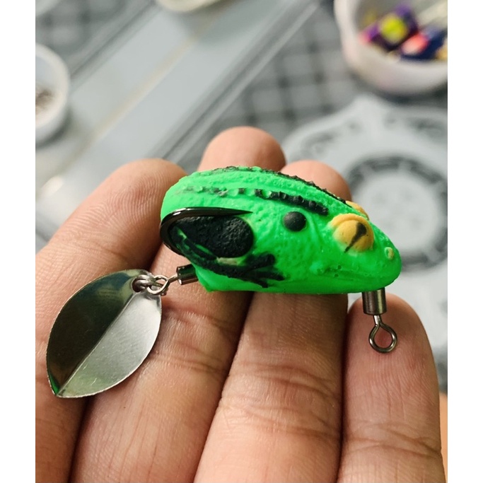 NHÁI HƠI CÓC MẮT LỒI