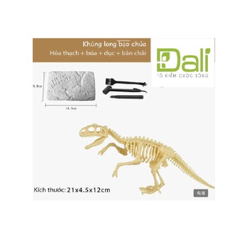 Bộ sản phẩm Khảo Cổ Khủng Long