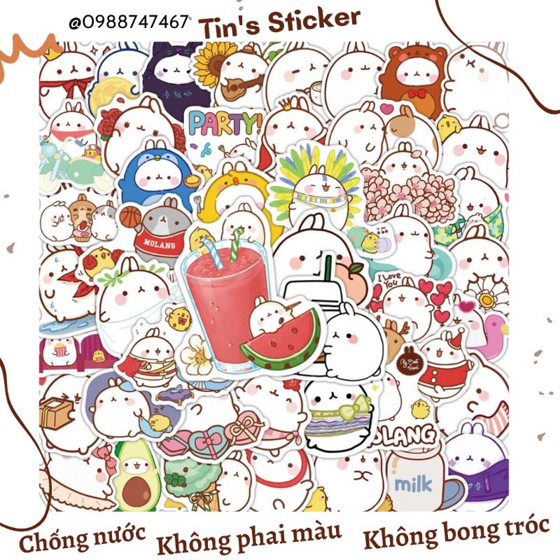 Set combo 50 miếng dán sticker Thỏ Molang dễ thương dán nón mũ bảo hiểm laptop vali sổ tay tủ lạnh đàn guitar điện thoại