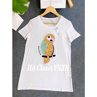 HÀNG XUẤT XỊN-Áo Thun Xuất Hàn