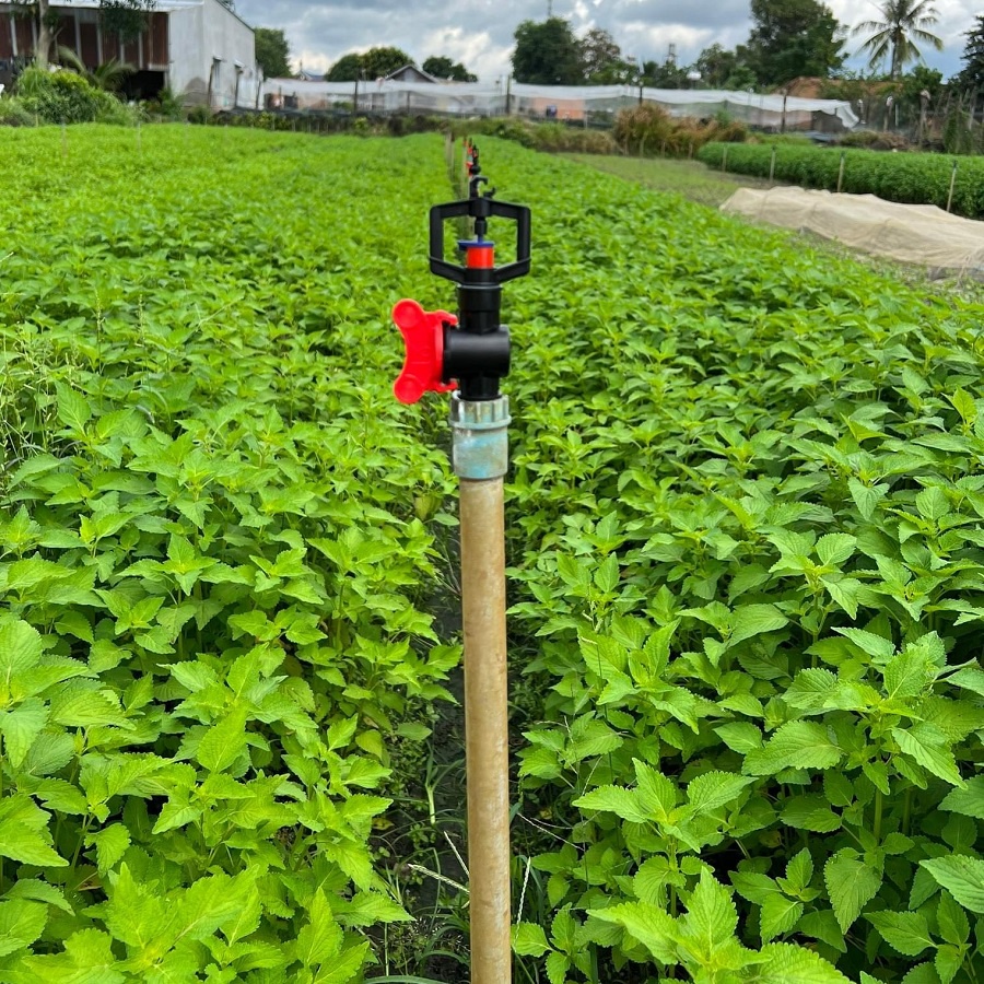 10 Béc tưới phun mưa, tưới rau SD609 kèm đầu nối ren trong 17-21mm, có móc treo bằng nhựa trên đỉnh béc