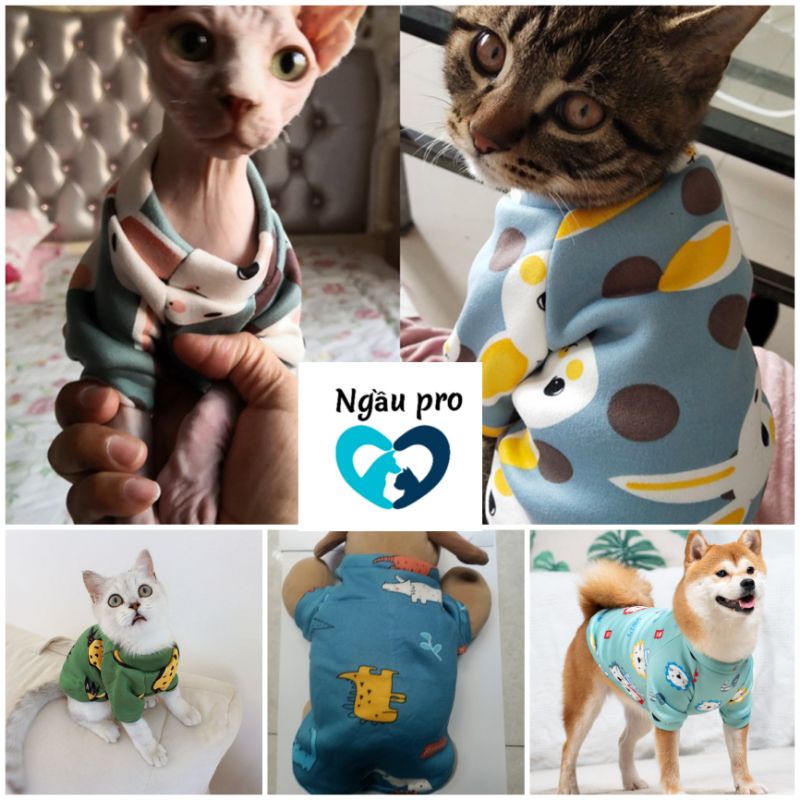 Quần áo chó mèo, Áo cho chó poodle in hoạ tiết hoạt hình nhiều màu sắc, Thời trang quần áo thú cưng chó mèo fullsize SML