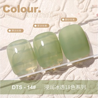 Sơn Gel mã DTS (màu thạch) | AS chai đỏ 15ML