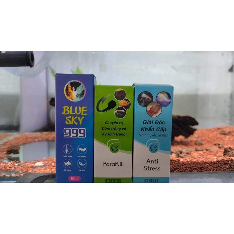 Blue sky 999 10ml chuyên xử lý túm lắc cho cá cảnh