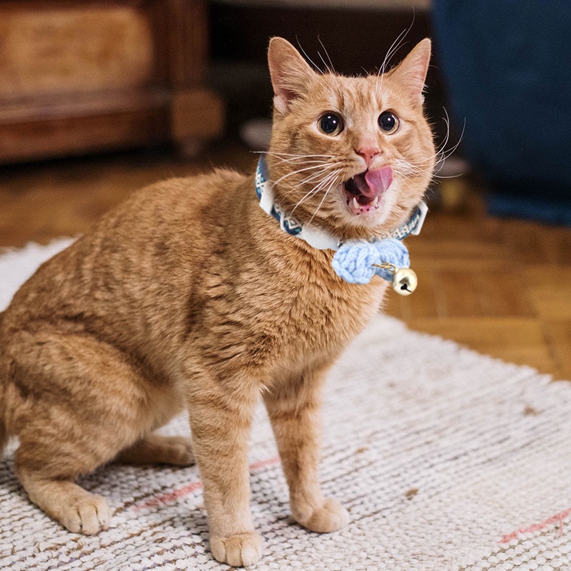 HamshMoc Vòng Cổ Nhẹ Mềm Mại Thoải Mái Bền Bỉ Có Chuông Và Nơ Dễ Thương Có Thể Điều Chỉnh Cho Thú Cưng / Mèo / Thỏ