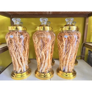 sâm dây Ngọc Linh 10 củ/kg
