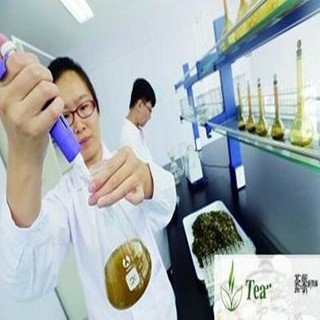 Trà Hoa Saffron Crocus Stigma Croc Cấp 1g