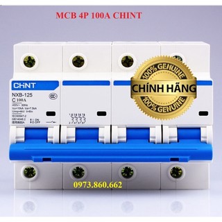 Aptomat Cài MCB 2P 3P 4P 100A CHINT NXB-125 10KA