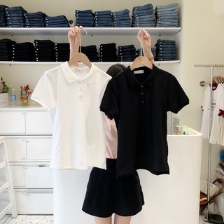 [AT725-AT728] Áo Polo Công Sở LIN - BST 2023