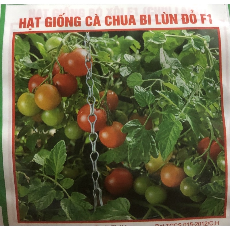Hạt giống Cà chua bi lùn đỏ F1 (cà chua chery) ☘️