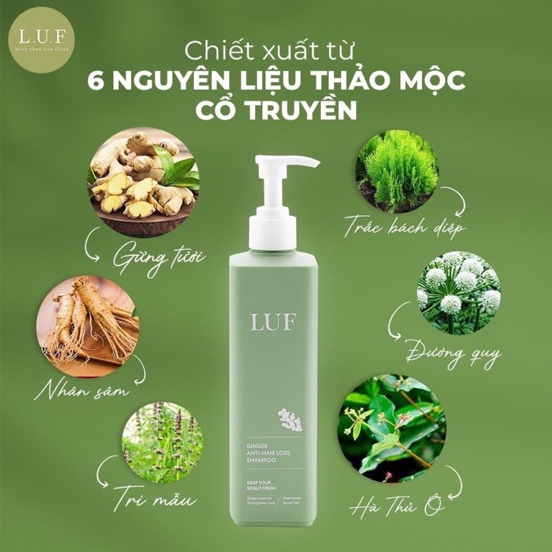 Cặp dầu gội LUF Ginger anti-hair loss shampoo giảm rụng tóc, suôn mượt tóc, giảm gàu 500ml