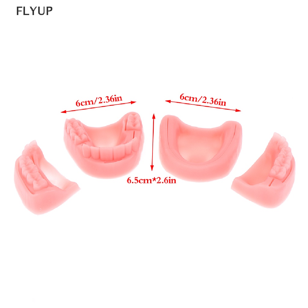 Set 4 Mô Hình Hàm Răng Giả Hỗ Trợ Dạy Học