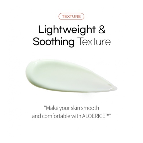 Kem chống nắng mỏng nhẹ Be The Skin sebum zero aloerice vegan sun cream 50ml