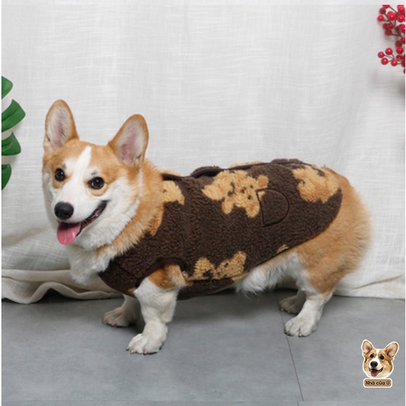 Áo Cho Chó To - Áo Thu Đông Cho Corgi, Samoyed, Golden chất lông cừu
