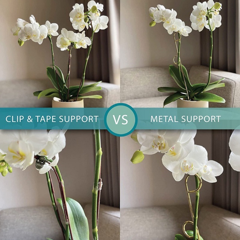 1 Bộ Gậy Hỗ Trợ Trồng Cây Dây Leo Bằng Kim Loại