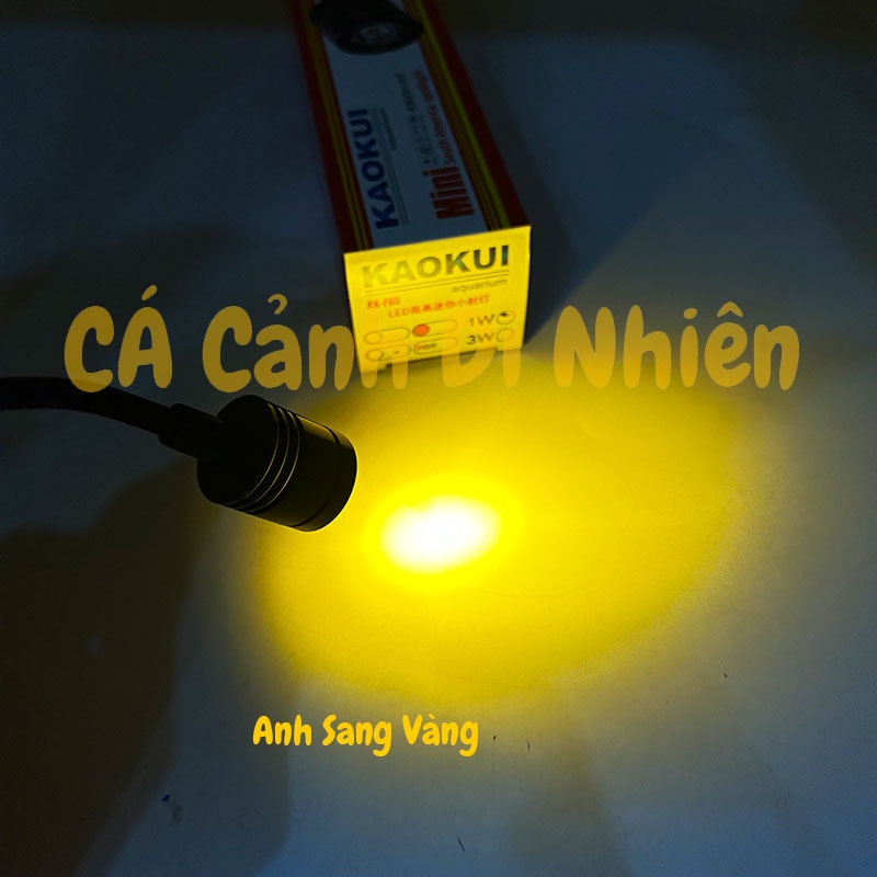 Đèn led rọi Mini 1W kẹp thành hồ cá thủy sinh BIOTOP KK-F05 cho bể 20-30 cm