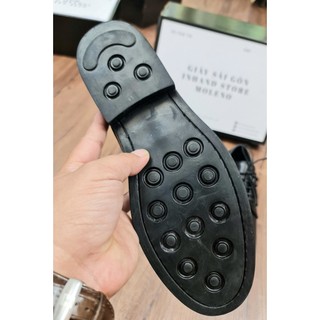 derby inhand G01