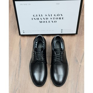 Derby inhand G01