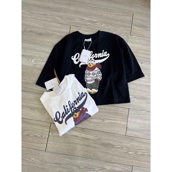 Áo thun Gấu lửng