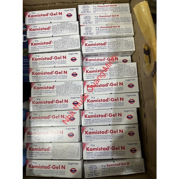 ✅ Gel bôi nhiệt nhiệt lở miệng KAMISTAD GEL N