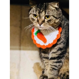 Mũ len và yếm len cho mèo (chat chọn mẫu)