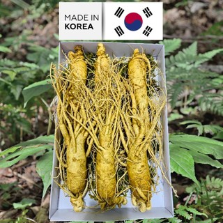 Nhân sâm tươi hàn quốc 1kg 3 củ 4 củ 5 củ 6 củ 7 củ 8 củ 9 củ 10 củ. sâm 6 năm tuổi hầm gà, ngâm rượu bồi bổ