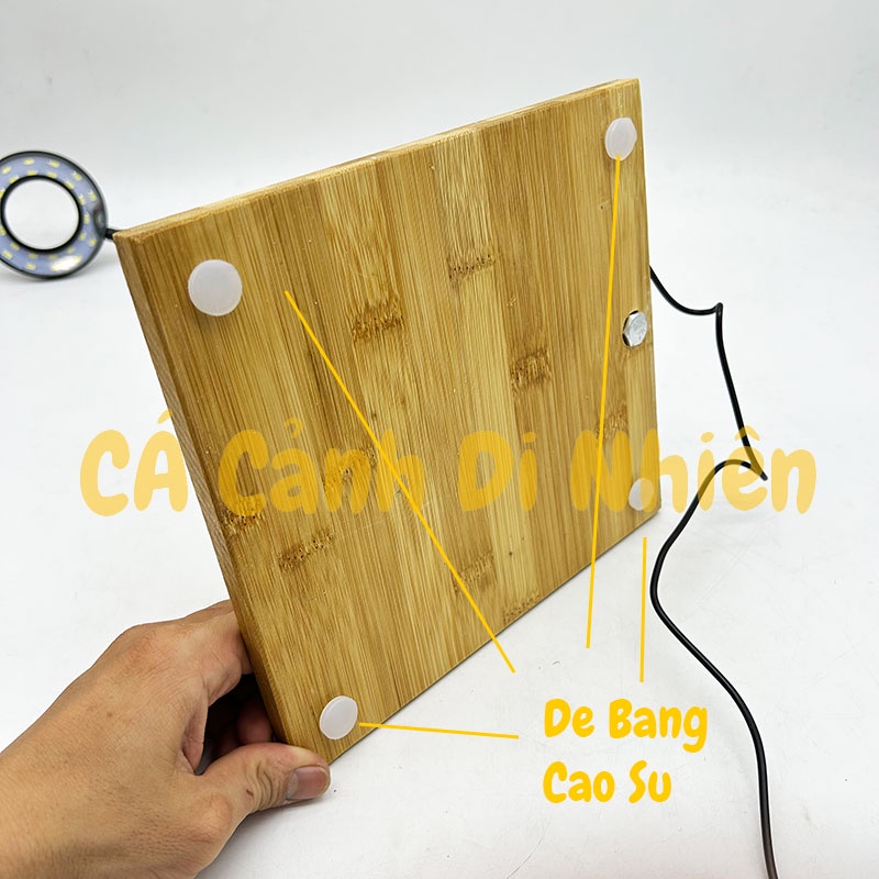 Đèn led đế gỗ 10W dùng cho bể cá hình tròn dưới 27 cm Terrarium