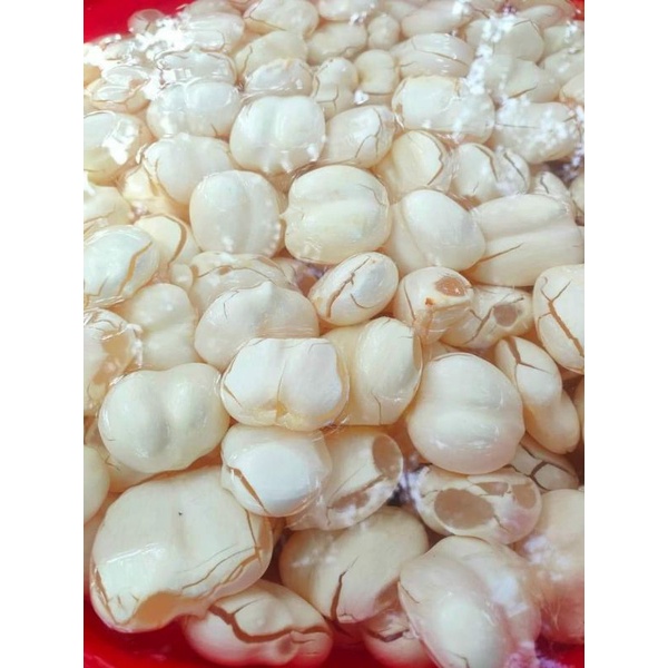 Thốt Nốt Tươi- An Giang