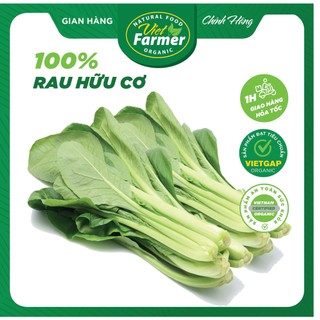 Rau cải ngọt hữu cơ tiêu chuẩn VietGAP (Túi 500gr ship hỏa tốc 1 giờ)