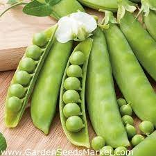 10gr hạt giống đậu hà lan