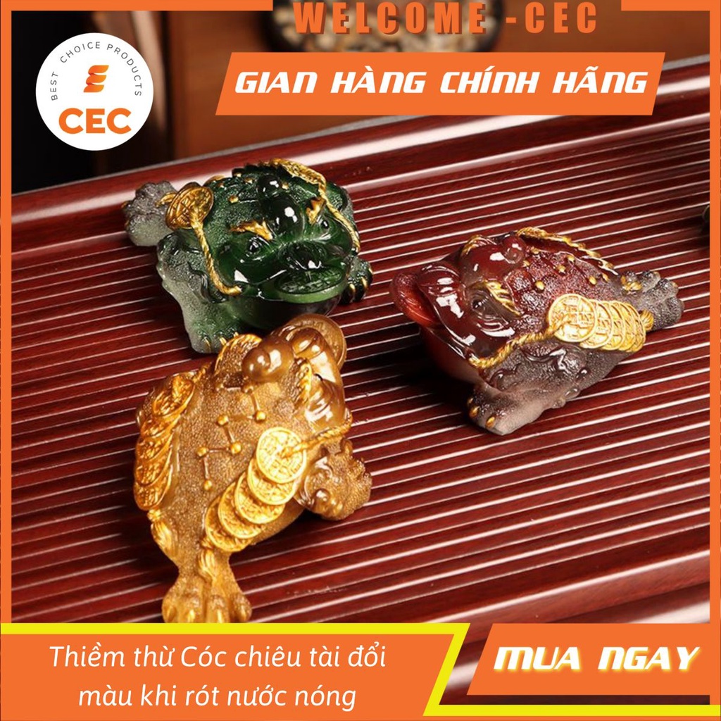 Cóc chiêu tài (Thiềm thừ) đổi màu khi rót nước nóng CTT01 [CEC Store]