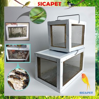Hộp nuôi dế - cào cào, Hộp đựng dế cào cào, Hộp dế, Phụ kiện lồng chim giá rẻ SICAPET