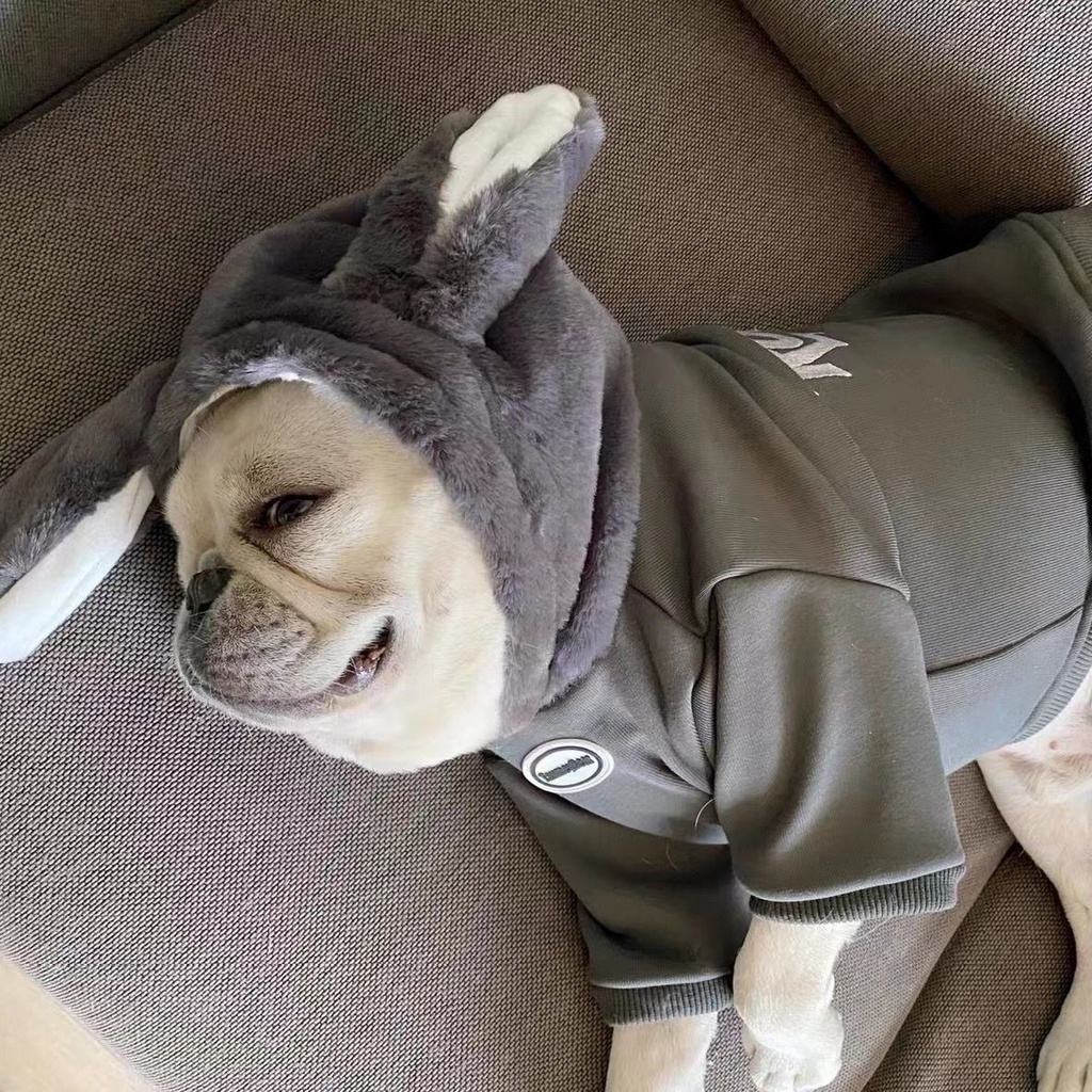 Áo Sweater Vải Lông Cừu Dày Dặn Giữ Ấm Mùa Thu Đông In Hình Chú Thỏ Pug Chiến Đấu Pháp Cho Cún Cưng Giao Hàng Miễn Phí