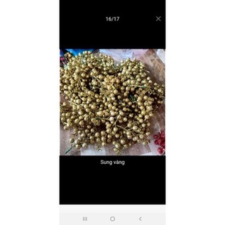 Hoa trạng nguyên