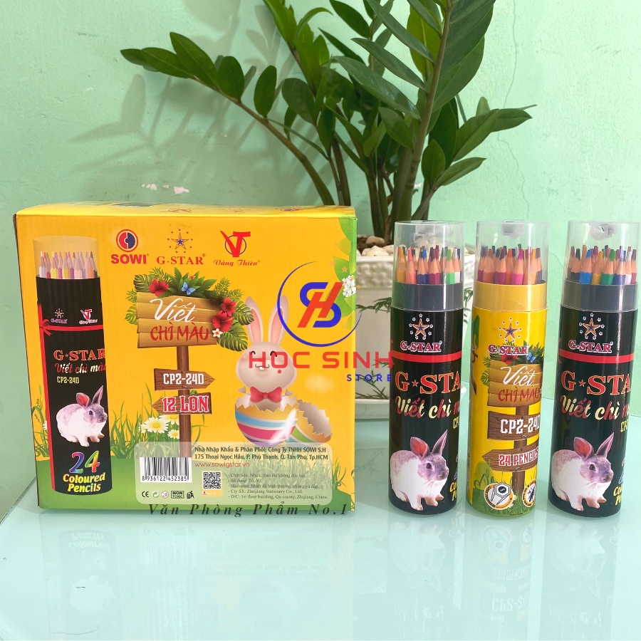 Lon 24 Cây Bút Chì Màu Gstar Thân Dài CP2-24D - Học Sinh Store