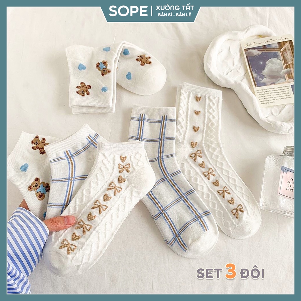 Tất vớ nữ phong cách Hàn Quốc hiện đại, set 3 đôi dễ phối đồ - Sope Shop