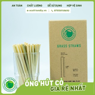 Ống hút cỏ bàng (Grass straws) Hộp 100 ống dài 11 cm - Hàng xuất khẩu đi Mỹ - Dùng được cho tất cả các loại thức uống