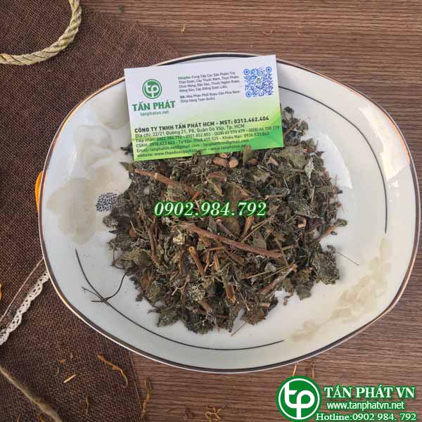 - Chè dây Cao Bằng khô