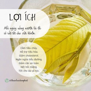 Lá ổi khô - thảo dược Tấn Phát