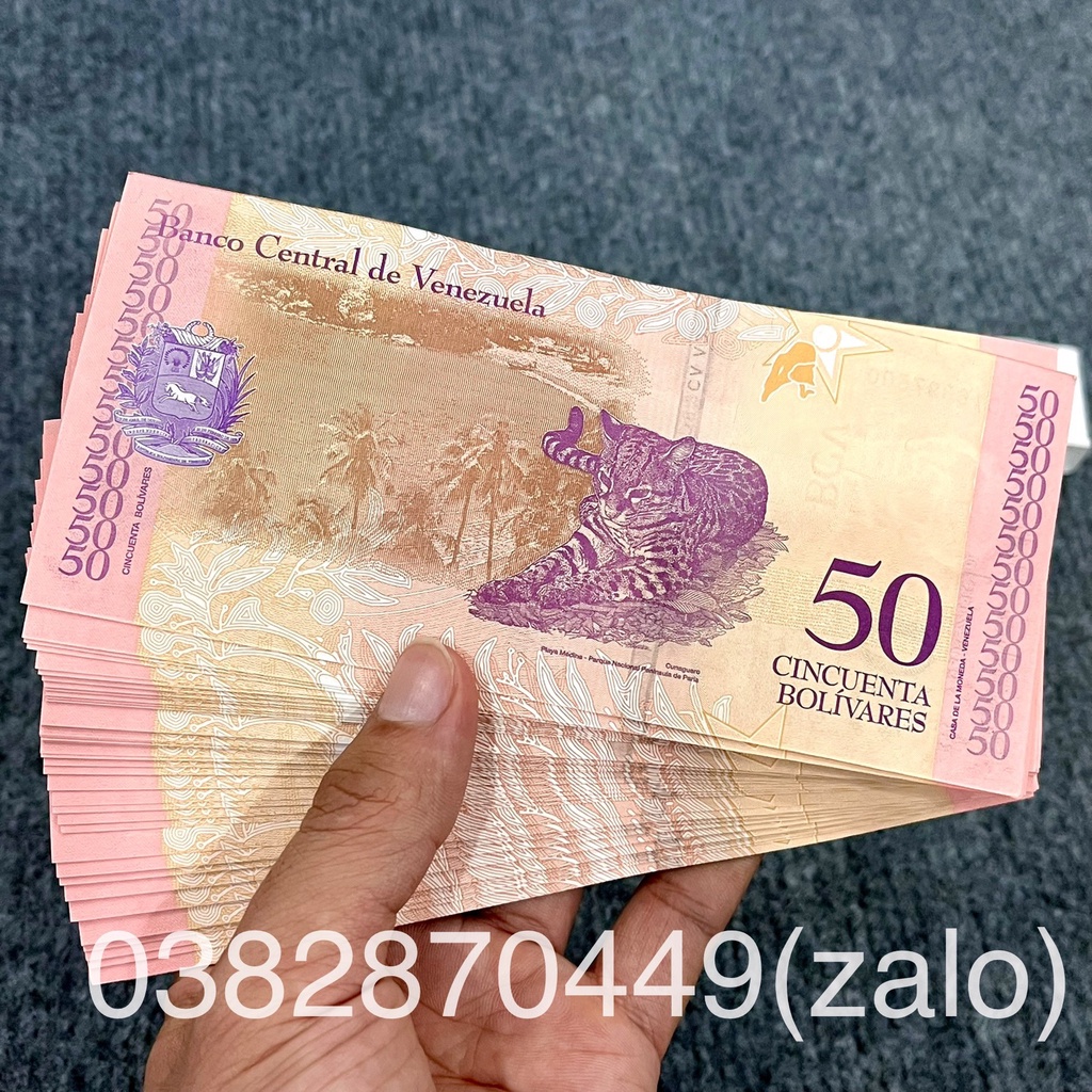 Combo 10 tờ Tiền Hình Con Mèo Venezuela Kỷ Niệm Lì Xì Tết 2023 Độc Đáo Ý Nghĩa