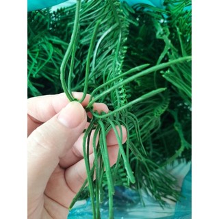 Cọng nhựa 3 nhánh gắn 3 hoa điểm ko gồm hoa