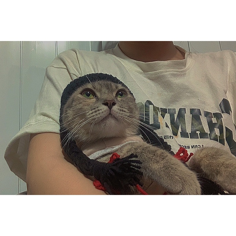 Nón len cho hamster, sóc, bọ, thỏ,mèo v.v...