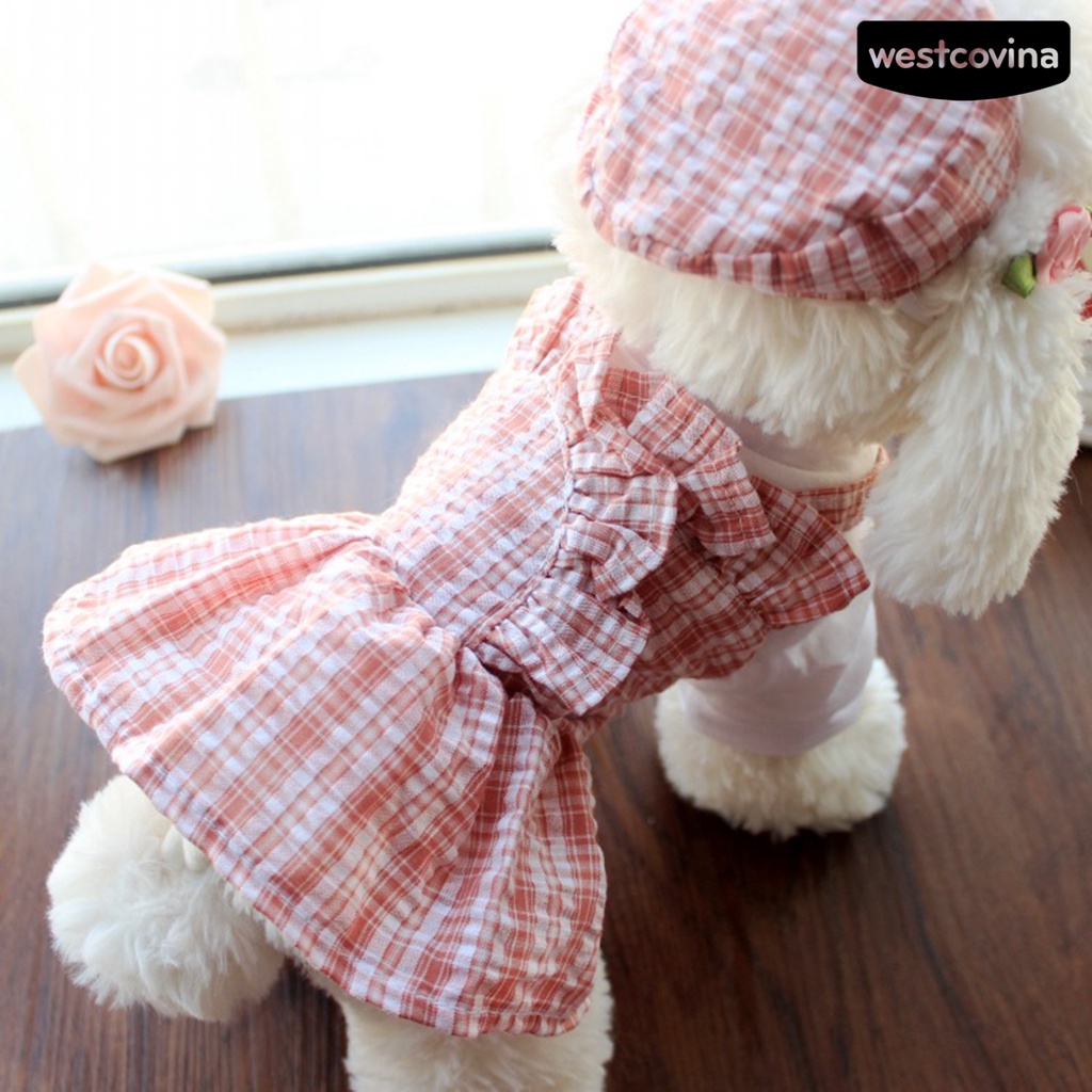 [Hot]♝Set 2 Món Áo + Nón Thoáng Khí Thân Thiện Với Da Cho Thú Cưng