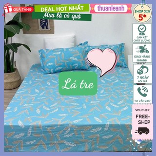 Set Ga gối coton POLY nhiều mẫu 1m,1m2,1m4 cho đệm 15-20cm