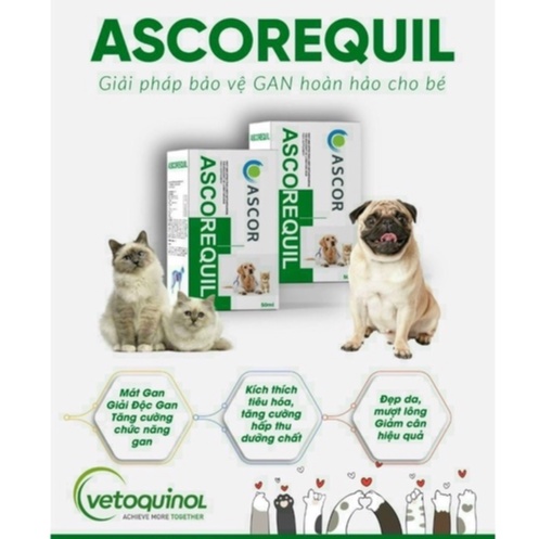 Ascorequil - Siro hỗ trợ chức gan và thải độc gan cho chó mèo 50ml (Date 10-2023)